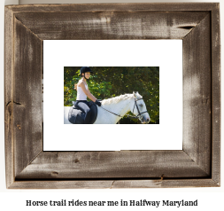 horse trail rides near me in Halfway, Maryland